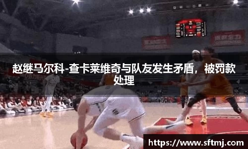 赵继马尔科-查卡莱维奇与队友发生矛盾，被罚款处理