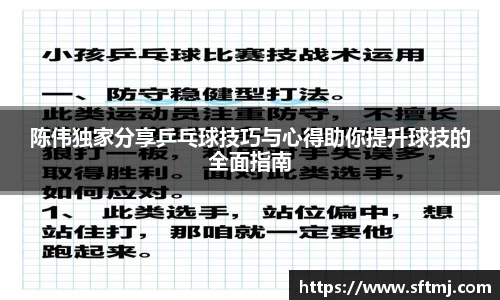 陈伟独家分享乒乓球技巧与心得助你提升球技的全面指南