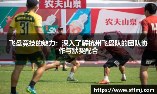 飞盘竞技的魅力：深入了解杭州飞盘队的团队协作与默契配合