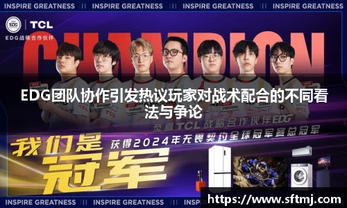 EDG团队协作引发热议玩家对战术配合的不同看法与争论