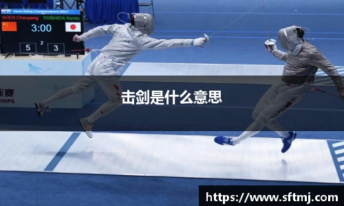击剑是什么意思