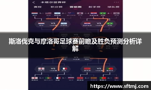 NG体育官网
